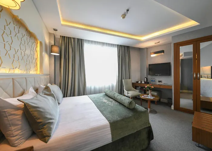 Grand Star Bosphorus & 伊斯坦布尔