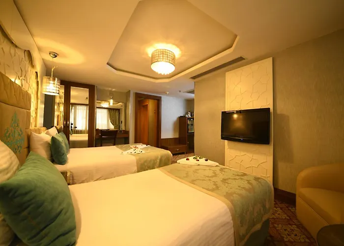 酒店 Grand Star Bosphorus & 伊斯坦布尔