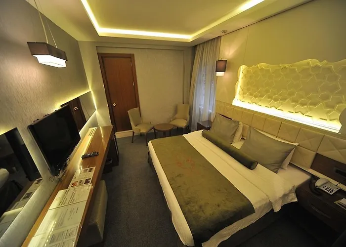 Grand Star Bosphorus & 伊斯坦布尔