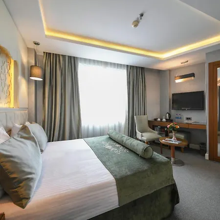 Grand Star Bosphorus & Provincia di Istanbul